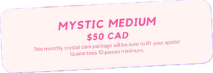 Mystic medium crystal care box