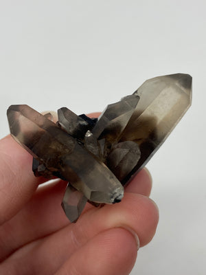 Smoky Quartz Cluster with phantoms