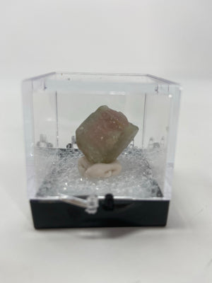 Watermelon Tourmaline in a perky box