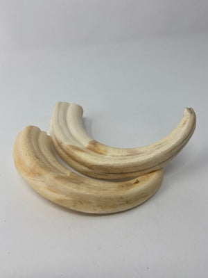 Pair of Warthog tusks