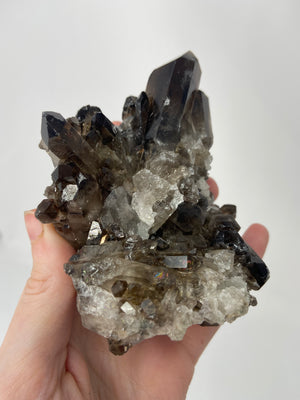 Smokey Quartz cluster