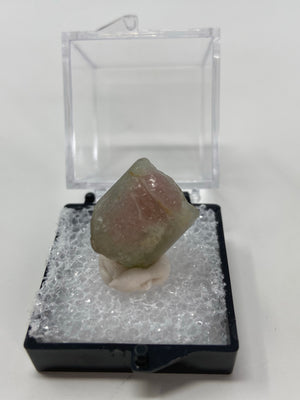 Watermelon Tourmaline in a perky box