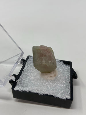 Watermelon Tourmaline in a perky box