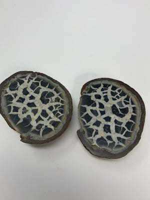 Septarian Nodule