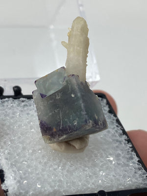 Brandberg Fluorite with Needle Quartz