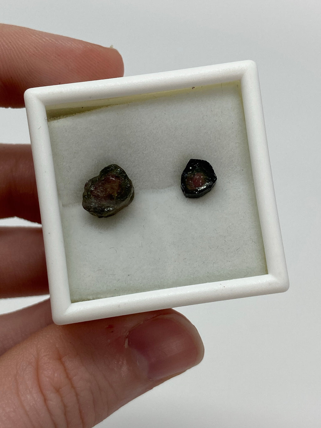 Pair of Watermelon Tourmaline in a case