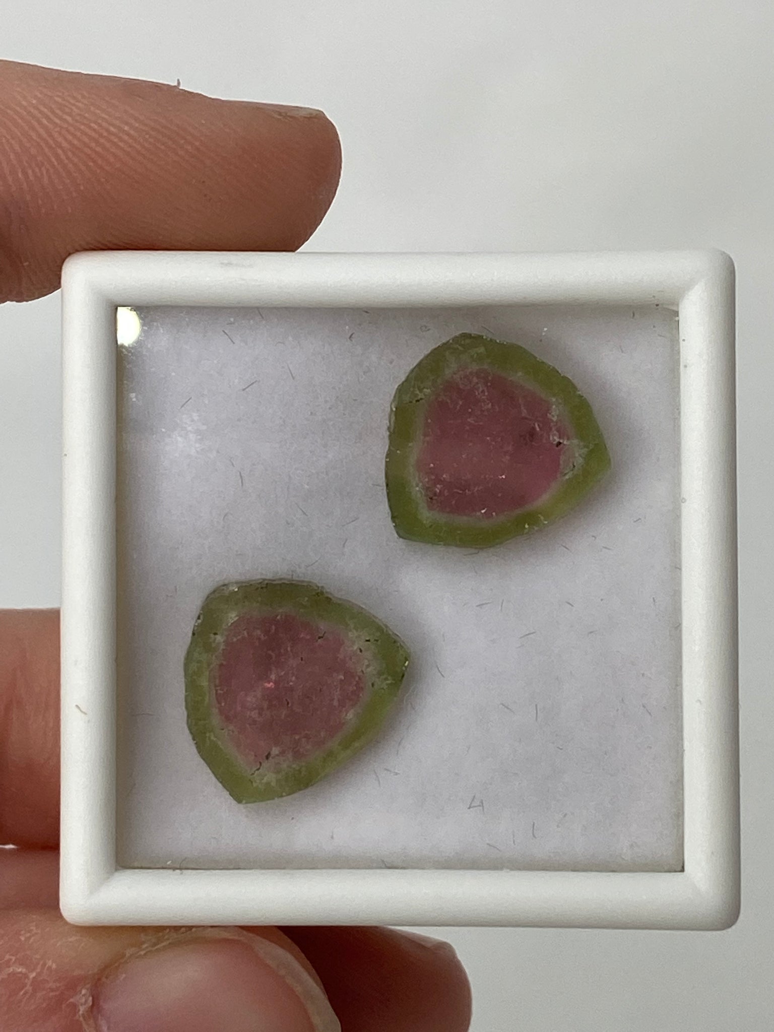 Watermelon Tourmaline Pair