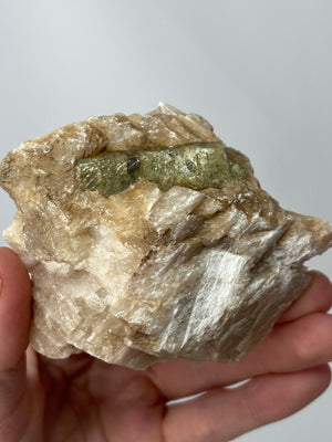 Green Apatite in Matrix