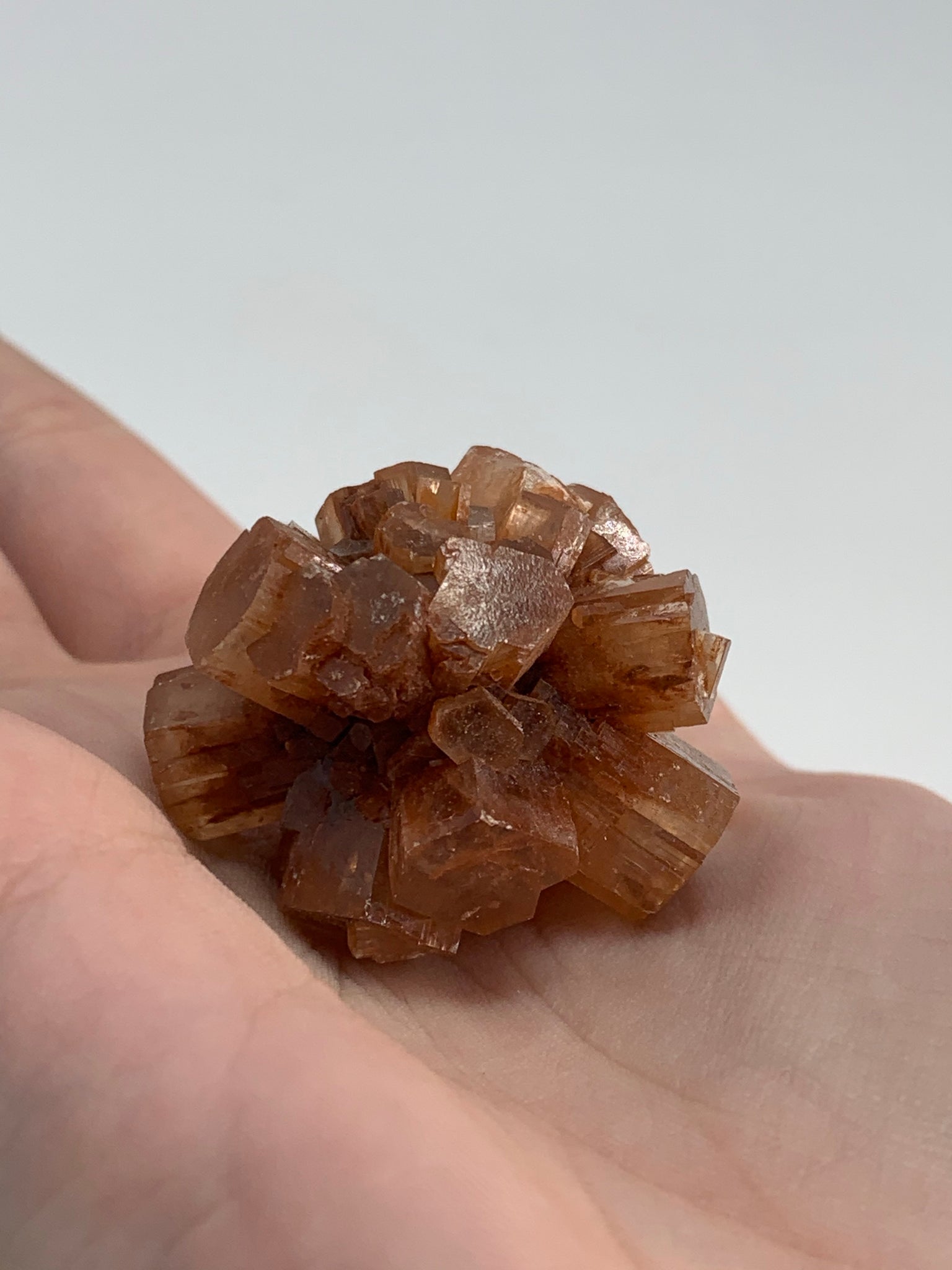 Aragonite