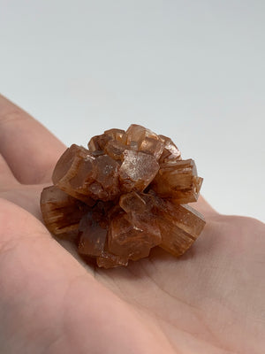 Aragonite