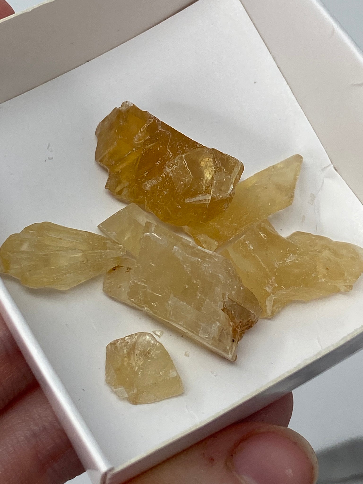 Honey Calcite Bulk Deal