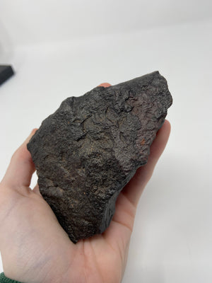 Extra Large Agouda Meteorite