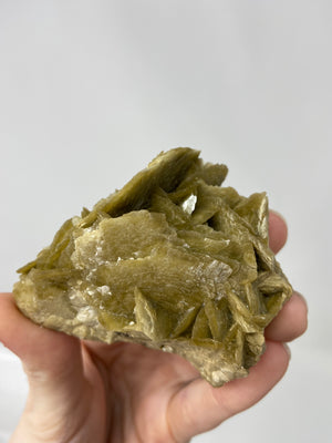 Double Feathered Siderite Rose