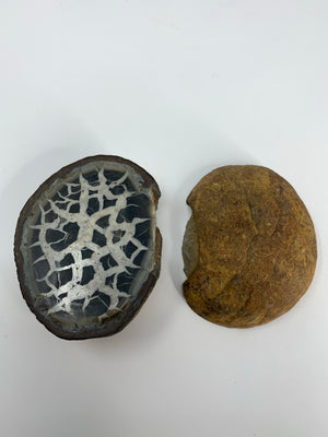 Septarian Nodule