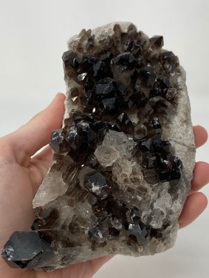 Smoky Quartz Cluster