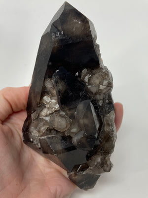 Smoky Quartz cluster