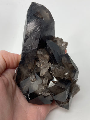 Smoky Quartz cluster