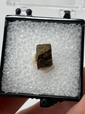 Gibeon Meteorite