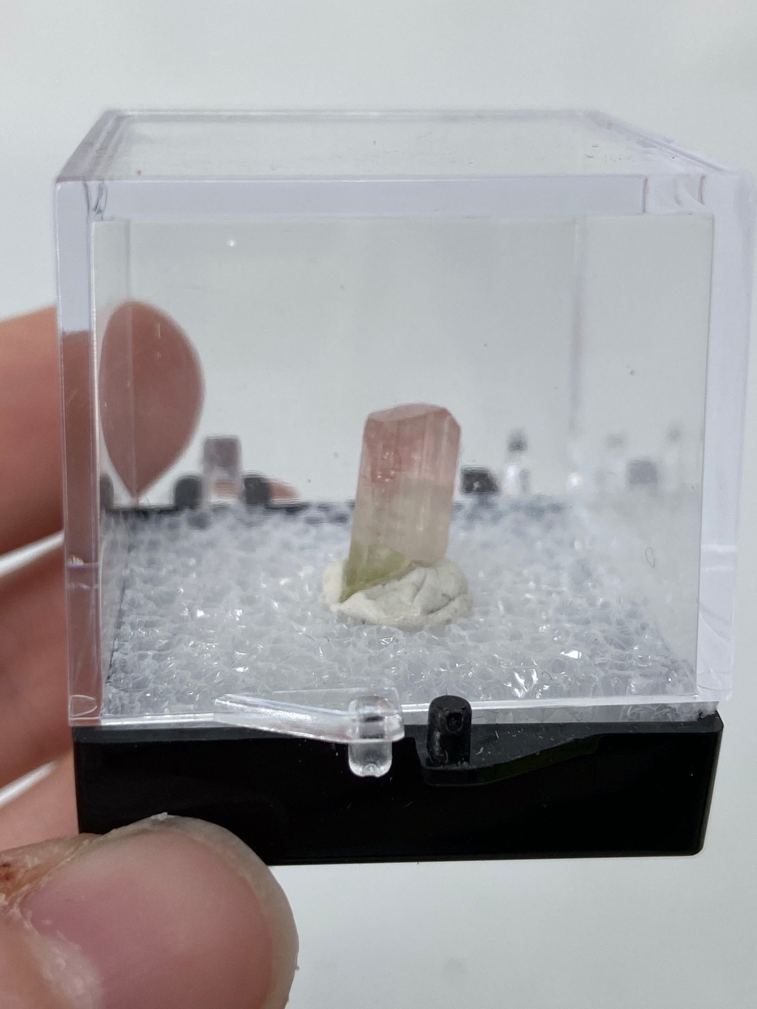 Tri Coloured Tourmaline