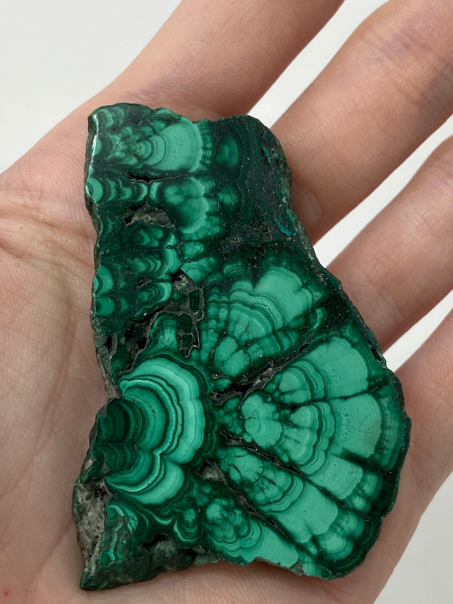 Polished Malachite Slice