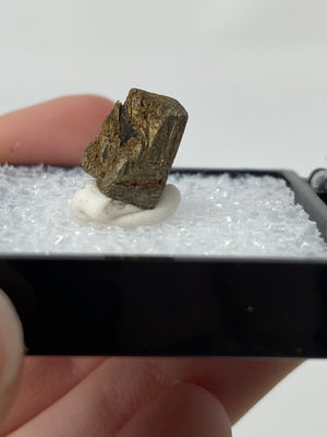 Gibeon Meteorite