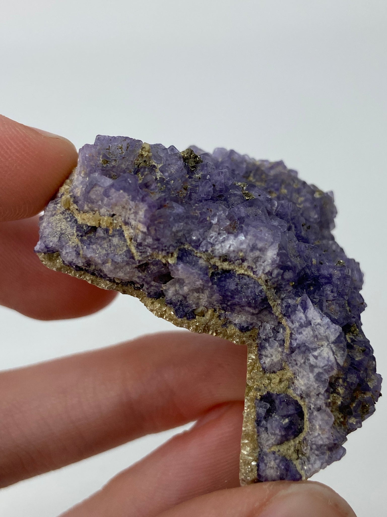 Purple Fluorite with Micro Pyrite