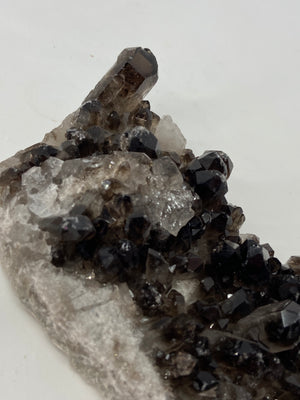 Smoky Quartz Cluster