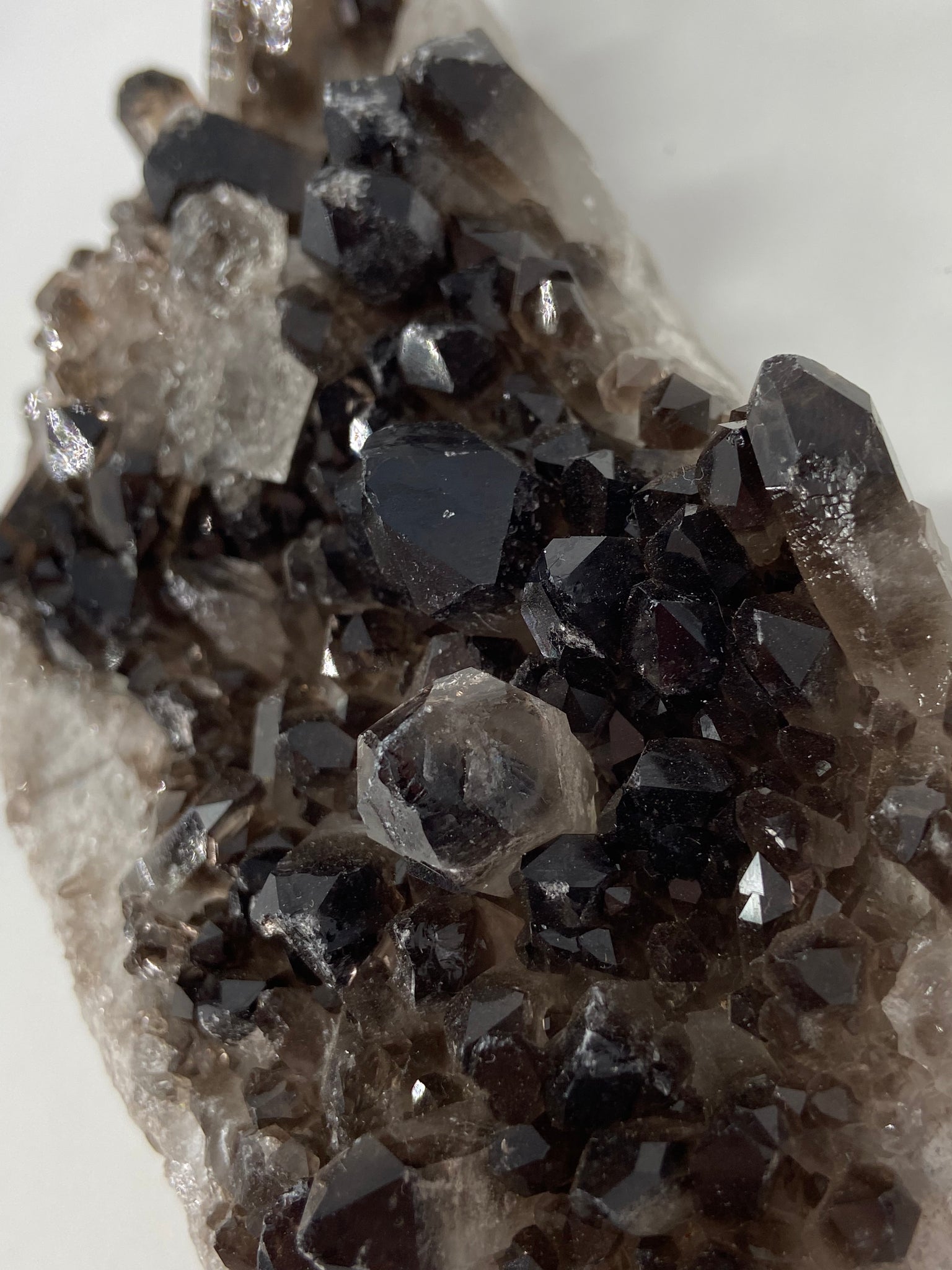 Smoky Quartz Cluster